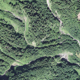 Satellite imagery of Türlisegg, CH
