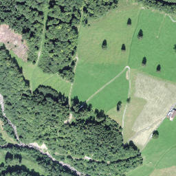 Satellite imagery of Türlisegg, CH