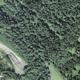 Satellite imagery of Seewlistock, CH