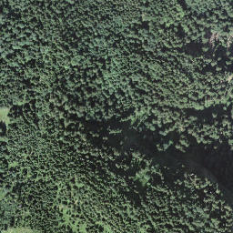 Satellite imagery of Seewlistock, CH
