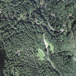Satellite imagery of Seewlistock, CH
