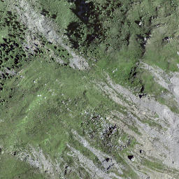Satellite imagery of Chant Pradatsch, CH