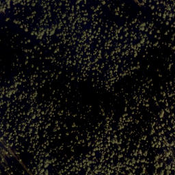 Satellite imagery of Törlkopf, AT