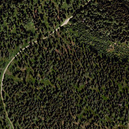 Satellite imagery of Wildbach Alpe, AT