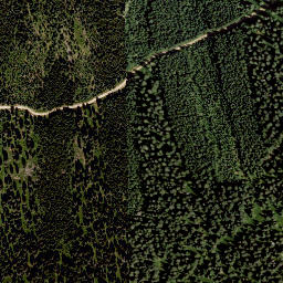 Satellite imagery of Wildbach Alpe, AT