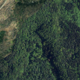 Satellite imagery of I/2, SI