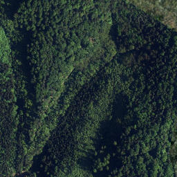 Satellite imagery of I/2, SI