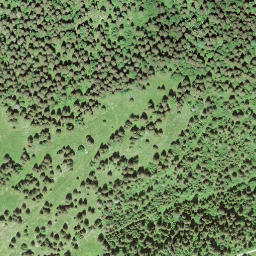 Satellite imagery of Crêt de la Neige, CH
