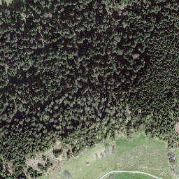 Satellite imagery of Ringgis, CH