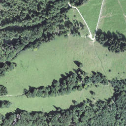 Satellite imagery of Bärsilichopf, CH