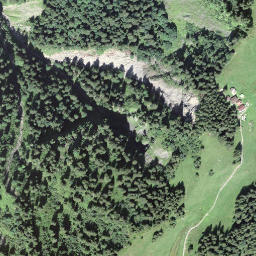 Satellite imagery of Seewlistock, CH
