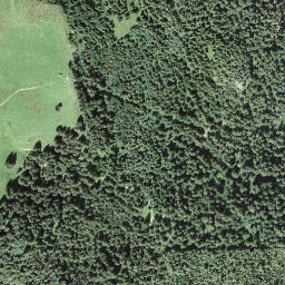 Satellite imagery of Seewlistock, CH