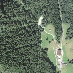 Satellite imagery of Seewlistock, CH