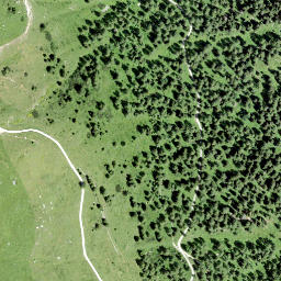 Satellite imagery of Säsagit, CH