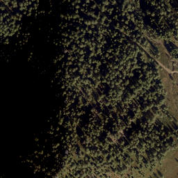 Satellite imagery of Törlkopf, AT