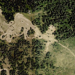 Satellite imagery of Wildbach Alpe, AT