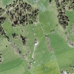 Satellite imagery of Ringgis, CH