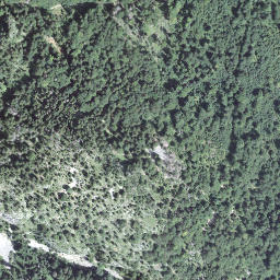 Satellite imagery of Bärsilichopf, CH