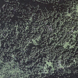 Satellite imagery of Bärenturm, CH