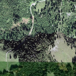 Satellite imagery of Spissegg, CH