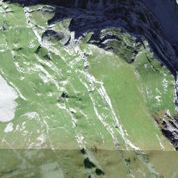 Satellite imagery of Vorder Walenstock, CH