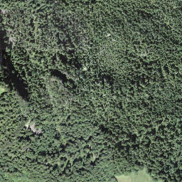 Satellite imagery of Seewlistock, CH