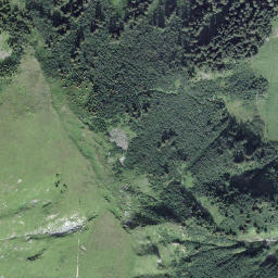 Satellite imagery of Wängichulm, CH