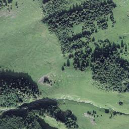 Satellite imagery of Wängichulm, CH