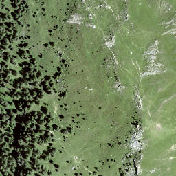 Satellite imagery of Chant Pradatsch, CH