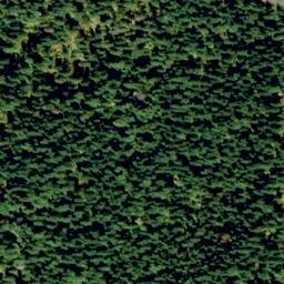 Satellite imagery of Preceptor Point, US