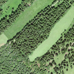 Satellite imagery of borNE-VD.11, CH