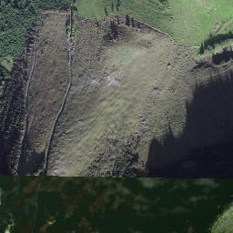 Satellite imagery of Morengspur, CH