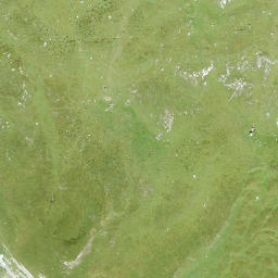 Satellite imagery of Piz Aulta, CH