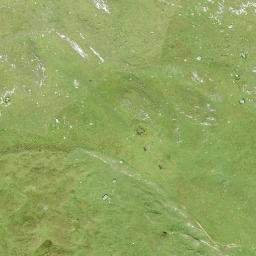 Satellite imagery of Piz Aulta, CH