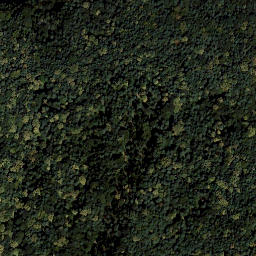 Satellite imagery of Steinhöhe, AT