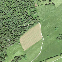 Satellite imagery of borNE-VD.9, CH