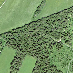 Satellite imagery of borNE-VD.11, CH