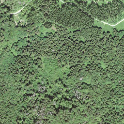 Satellite imagery of Mont de la Maya, CH