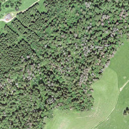 Satellite imagery of Mont de la Maya, CH