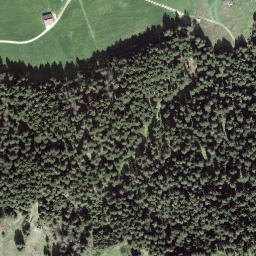 Satellite imagery of Fuchsegg, CH