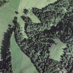 Satellite imagery of Günhorn, CH