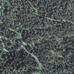 Satellite imagery of Hohnegg, CH