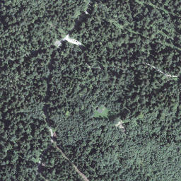 Satellite imagery of Hohnegg, CH