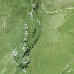 Satellite imagery of Spitzenbüel, CH