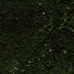 Satellite imagery of Sendeturm Stradner Kogel, AT