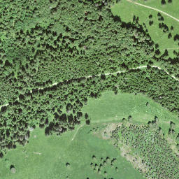 Satellite imagery of borNE-VD.2, CH
