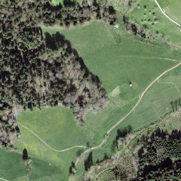 Satellite imagery of Bütschelegg, CH