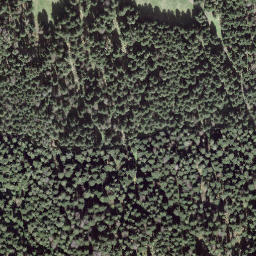 Satellite imagery of Fuchsegg, CH