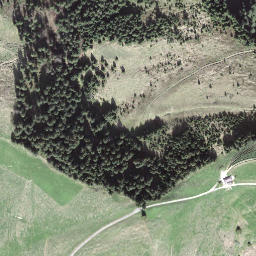Satellite imagery of Wachthubel, CH