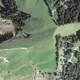 Satellite imagery of Günhorn, CH